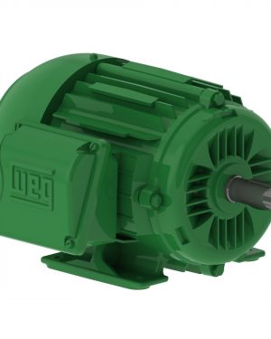 00136EG3E143T-W22 WEG AC Motor
