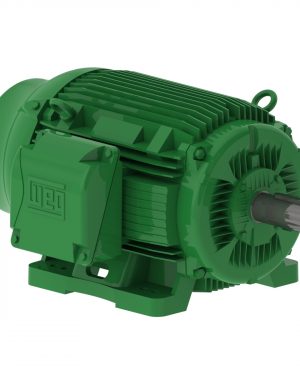 04012EG3E364T-W22 WEG AC Motor