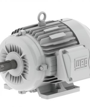 00312ES3EOW215T-W22 WEG AC Motor