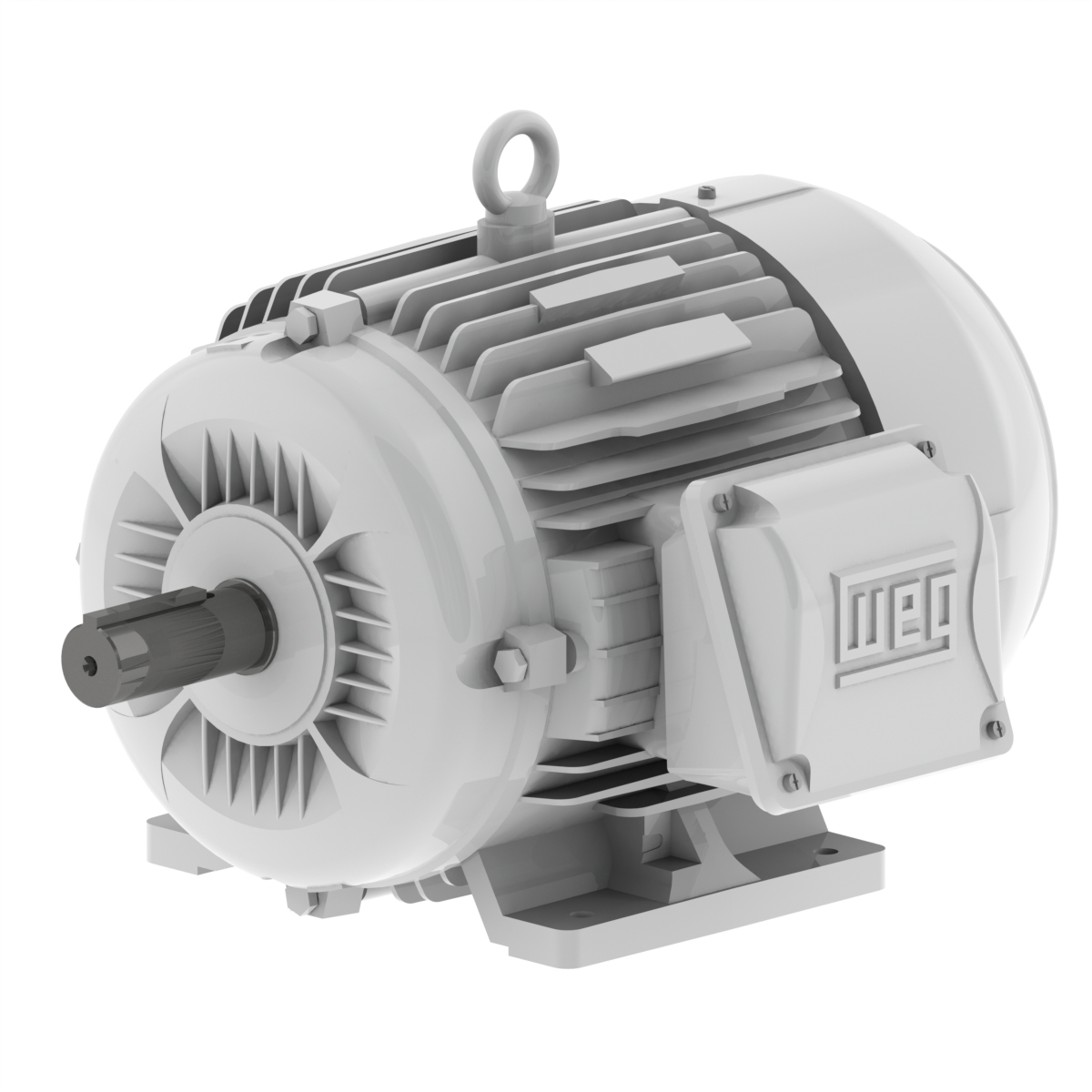 00312ES3EOW215T-W22 WEG AC Motor