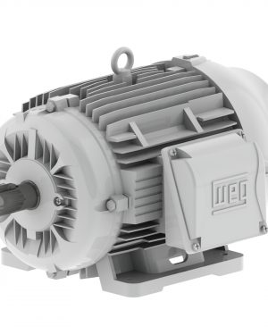 01012ES3EOW256T-W22 WEG AC Motor