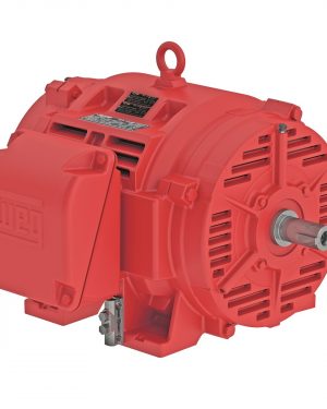 05018OP3VFP326TS-W40 WEG AC Motor