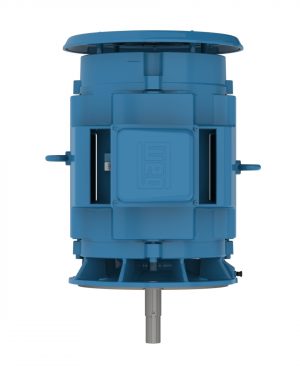 06036OT3H326JMV WEG AC Motor