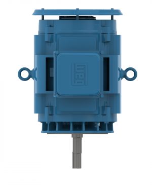 07536OT3H364JMV WEG AC Motor