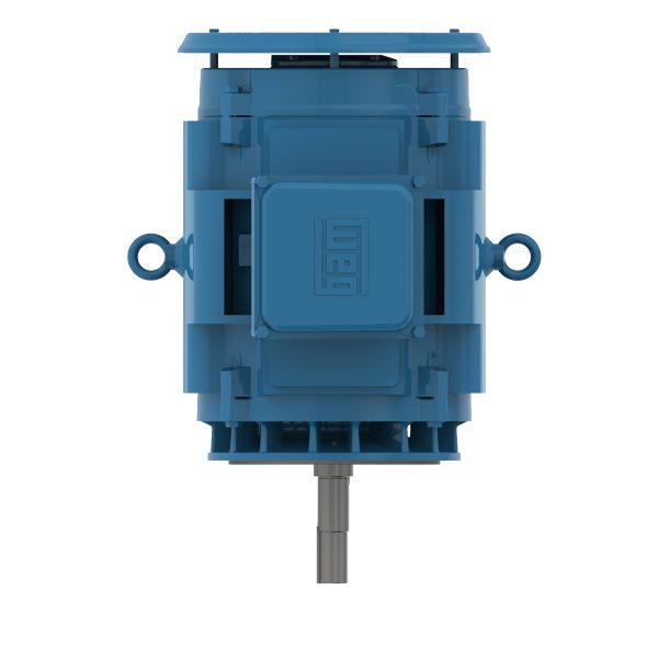 07536OT3H364JMV WEG AC Motor