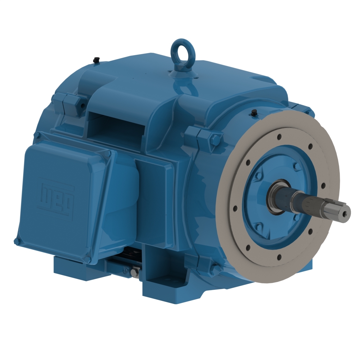 10036OT3E365JP WEG AC Motor