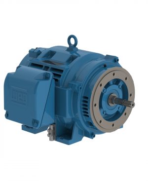 06018OT3H364JM-W40 WEG AC Motor