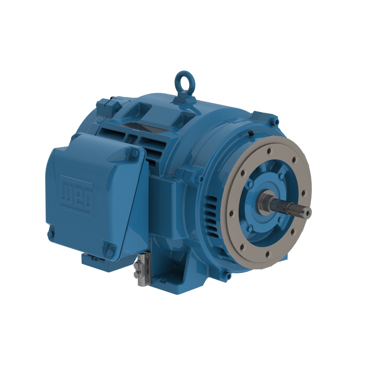 06018OT3H364JM-W40 WEG AC Motor