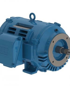 00712OT3E254JM-W40 WEG AC Motor