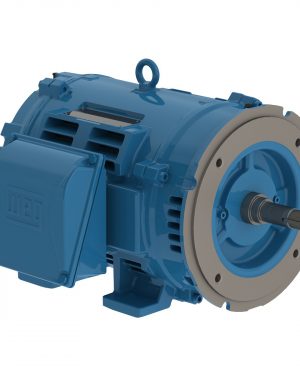 02518OT3E284JM-W40 WEG AC Motor