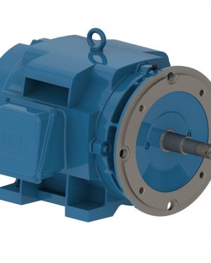 05018OT3H326JP WEG AC Motor