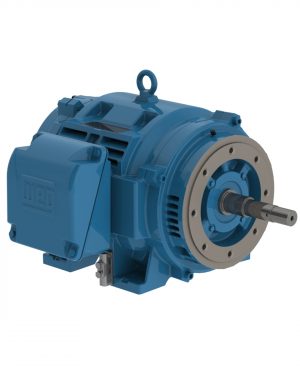 07536OT3E364JP-W40 WEG AC Motor