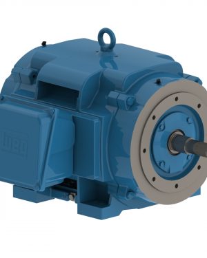 10731156 WEG AC Motor