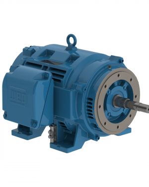 07512OT3E405JP-W40 WEG AC Motor