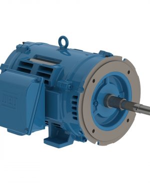 04036OT3V286JP-W40 WEG AC Motor