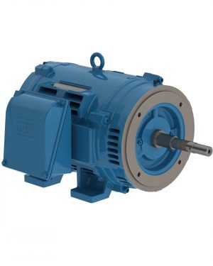 06036OT3E326JP-W40 WEG AC Motor