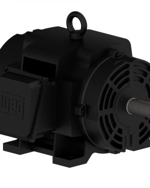 02036OT3ECD254TF2 WEG AC Motor