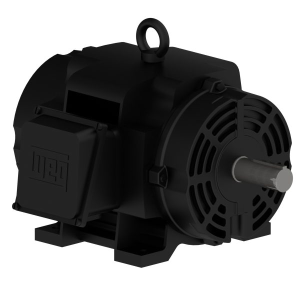 01518OT3HCD254T WEG AC Motor
