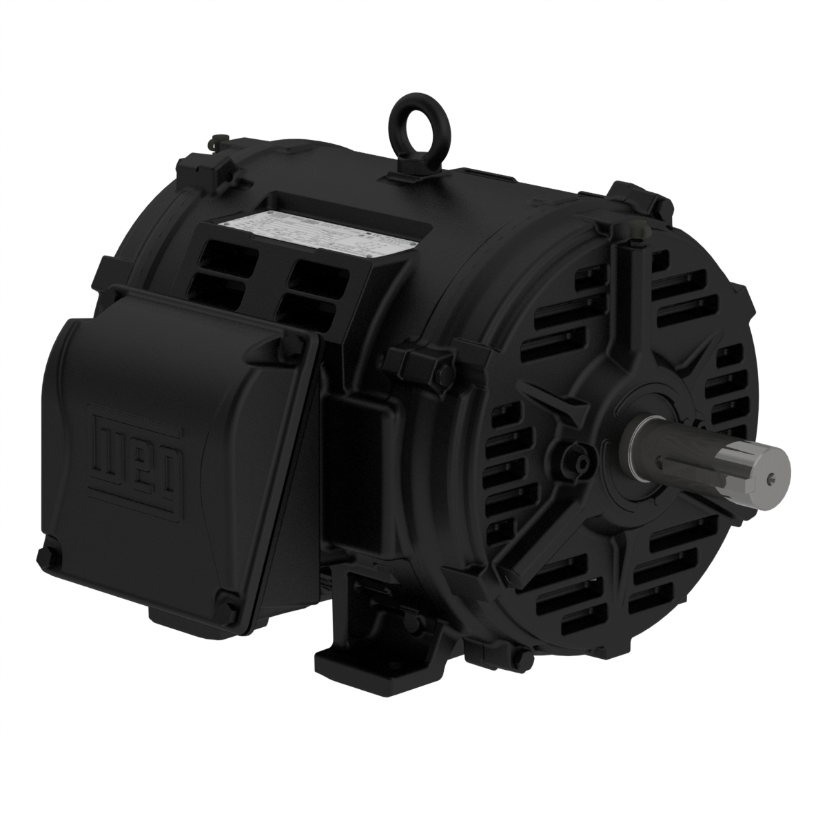 02536OT3ECD256T-W40 WEG AC Motor