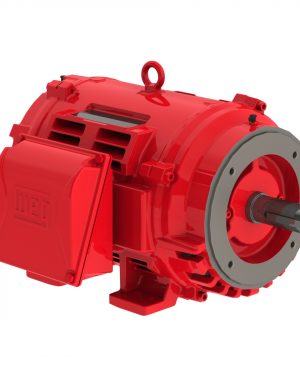 04036OP3VFP286TSC-W4 WEG AC Motor