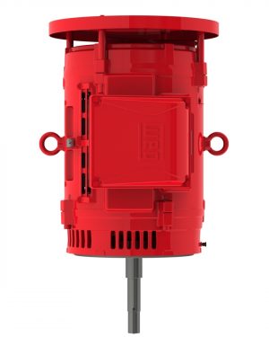 04018OP3EFP324JPV-W4 WEG AC Motor