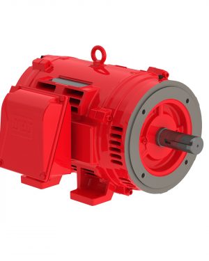 05036OP3VFP324TSC-W4 WEG AC Motor