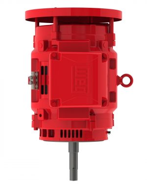 06018OP3EFP364JPV-W4 WEG AC Motor