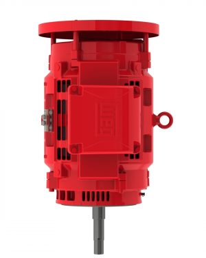 10018OP3VFP404JPV-W4 WEG AC Motor