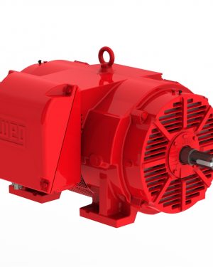 05036OP3JFP324TS-W40 WEG AC Motor