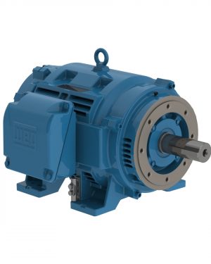 07518OT3H365TC-W40 WEG AC Motor