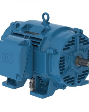 40036OT3H449TS-RFW40 WEG AC Motor