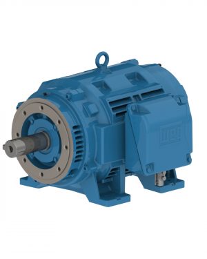 14272521 WEG AC Motor