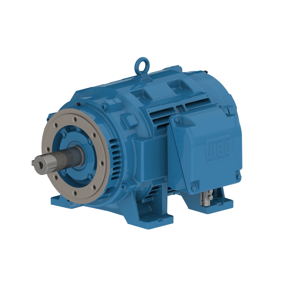 14272521 WEG AC Motor