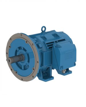 15018OT3H444TSDF2-W4 WEG AC Motor