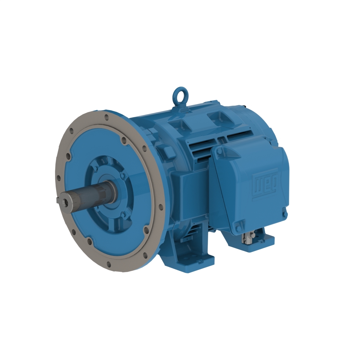 15018OT3H444TSDF2-W4 WEG AC Motor