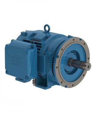 14285044 WEG AC Motor