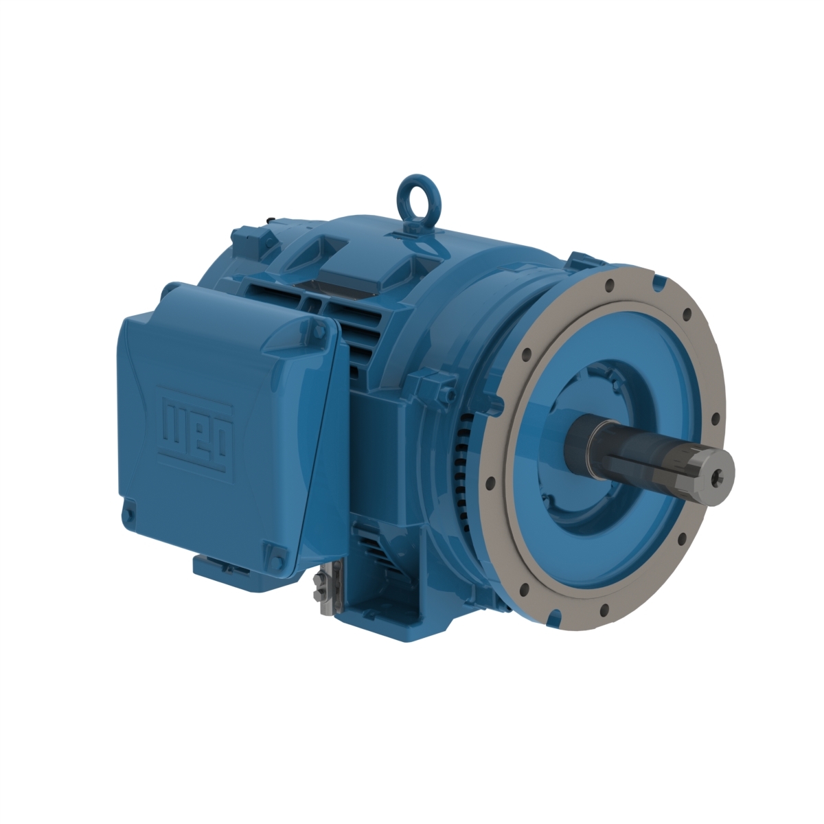 14285044 WEG AC Motor