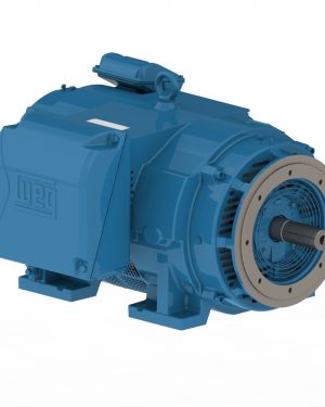 35036OT3G449TSC-RFW4 WEG AC Motor