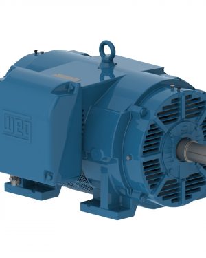 60036OT3G447/9TS-W40 WEG AC Motor