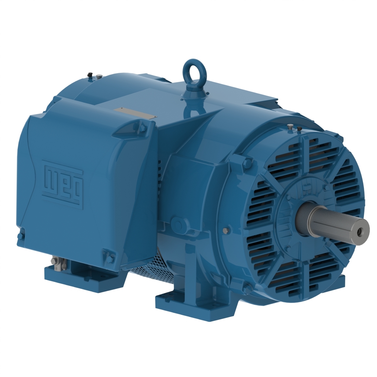 60036OT3G447/9TS-W40 WEG AC Motor