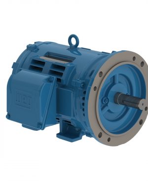 20018OT3G445TSDF2-W4 WEG AC Motor