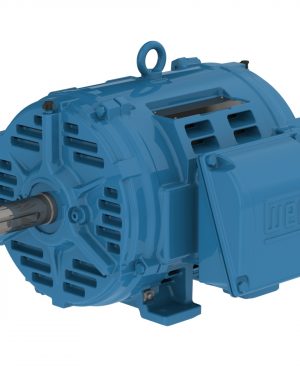 07518OT3E365TF2-W40 WEG AC Motor