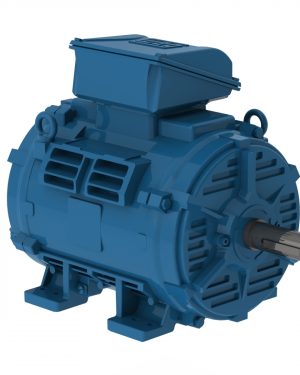 02518OT3E284TF3-W40 WEG AC Motor