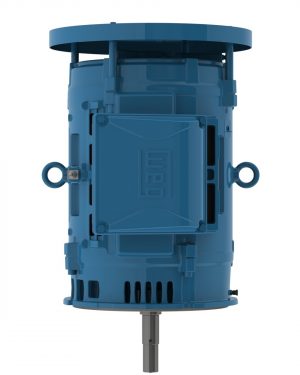 02518OT3E284JMV-W40 WEG AC Motor