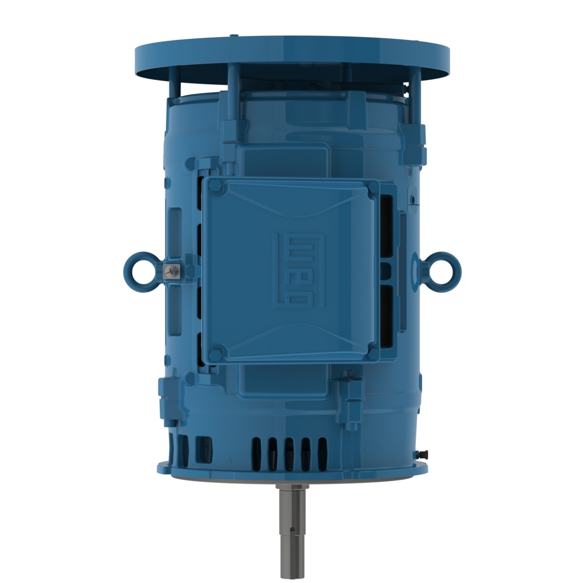 04036OT3E286JMV-W40 WEG AC Motor