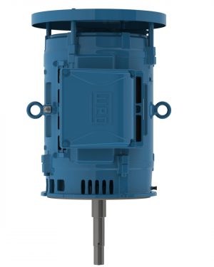 04036OT3V286JPV-W40 WEG AC Motor