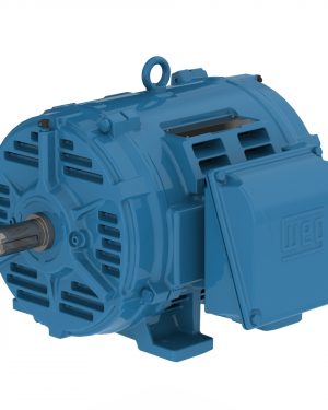02518OT3E284TF2-W40 WEG AC Motor