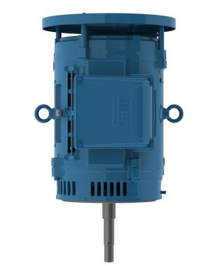 06036OT3V326JPV-W40 WEG AC Motor