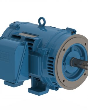 00712OT3E254TC-W40 WEG AC Motor