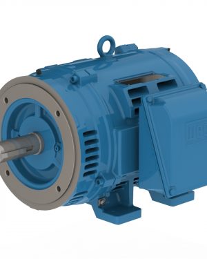 05018OT3E326TSCF2-W4 WEG AC Motor